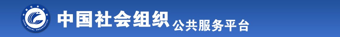 日B的视频全国社会组织信息查询